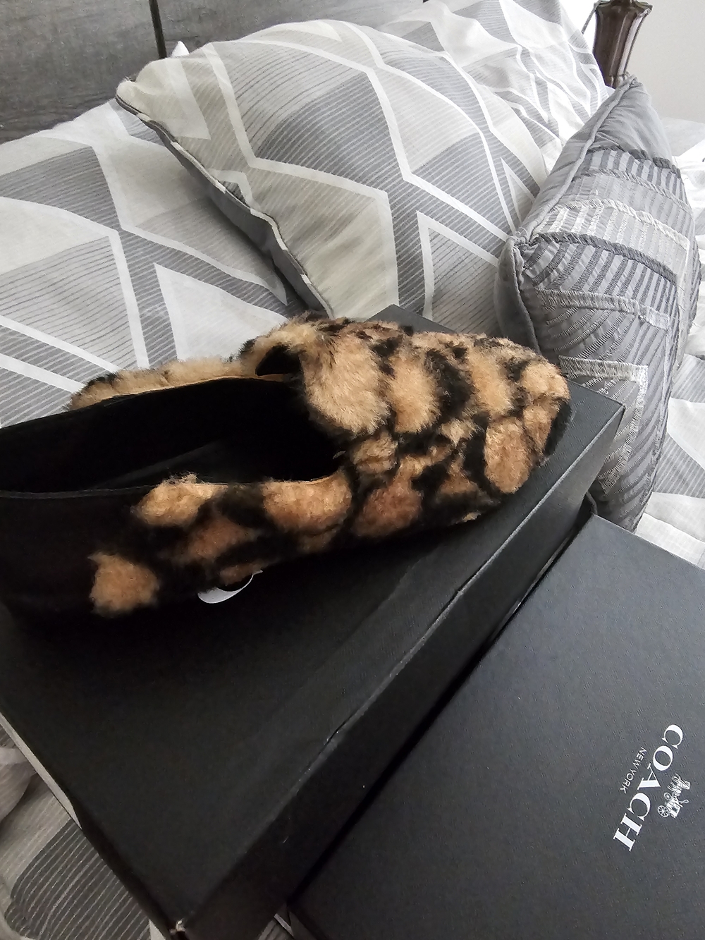 Coach Leopard Faux-Fur Slip-On Loafer - Brown/Black - Picture 3 of 3